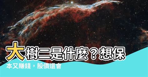 大樹二是什麼|市場胃納量可成長6倍，大樹(6469)長期投資人該注意什麼？